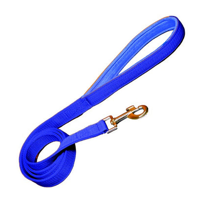 Padded Nylon Dog Leash