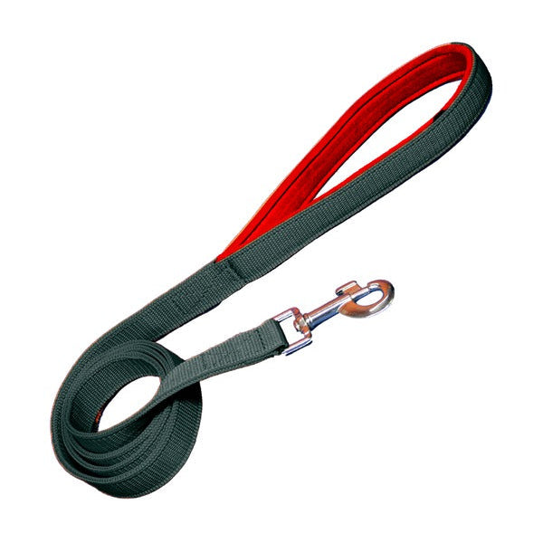Padded Nylon Dog Leash
