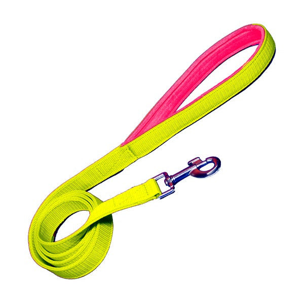 Padded Nylon Dog Leash