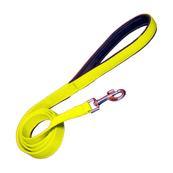 Padded Nylon Dog Leash