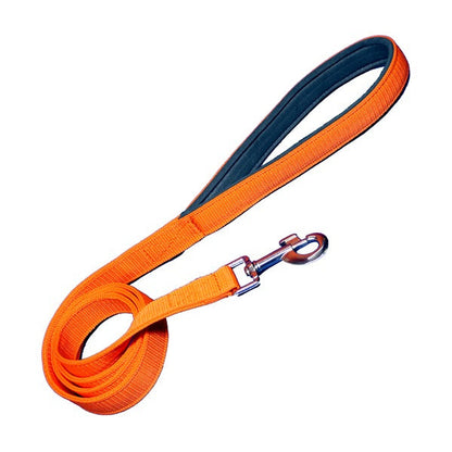 Padded Nylon Dog Leash