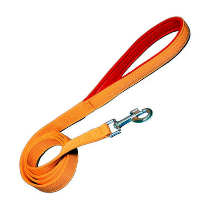 Padded Nylon Dog Leash