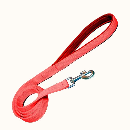 Padded Nylon Dog Leash