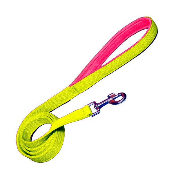 Padded Nylon Dog Leash