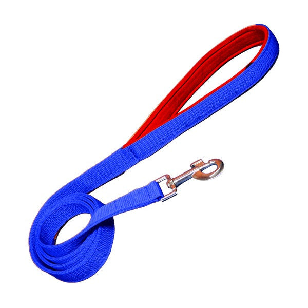 Padded Nylon Dog Leash