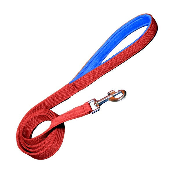 Padded Nylon Dog Leash