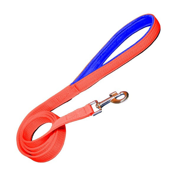 Padded Nylon Dog Leash