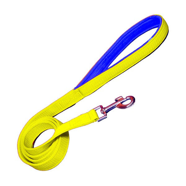 Padded Nylon Dog Leash