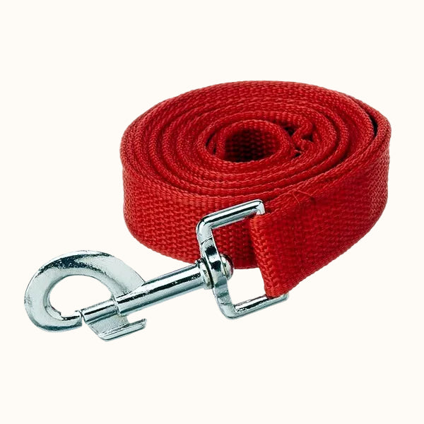 Nylon Dog Leash – 137 cm
