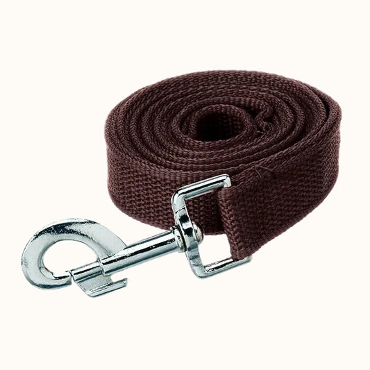 Nylon Dog Leash – 137 cm