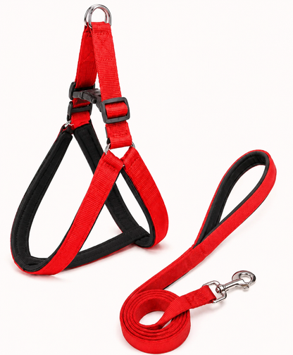 Soft Padded Dog Harness & Leash Set