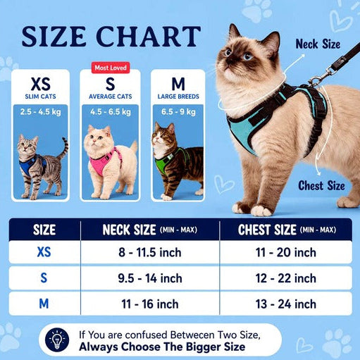 Adjustable Breathable Cat Harness & Leash Set