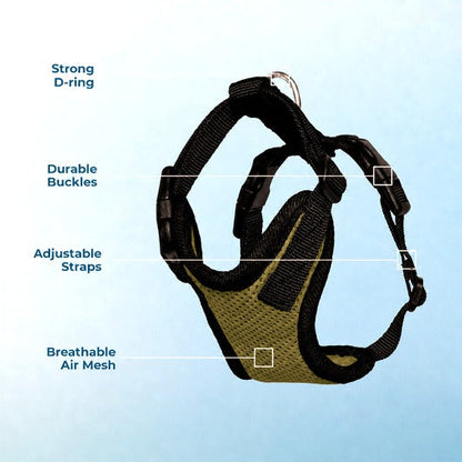 Adjustable Breathable Cat Harness & Leash Set