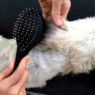Plastic Pin Grooming Brush