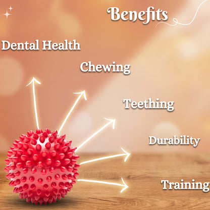 Rubber Spiked Ball Toy for Dogs