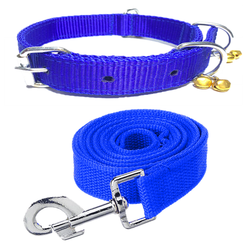Nylon Bell Collar & Leash Set