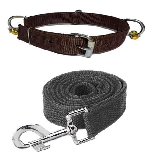 Nylon Bell Collar & Leash Set
