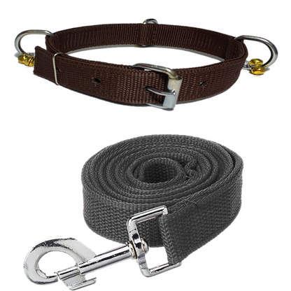 Nylon Bell Collar & Leash Set