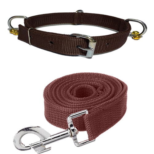 Nylon Bell Collar & Leash Set