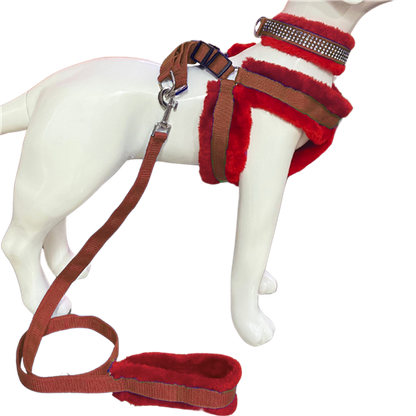 Soft Fur-Padded Dog Harness, Collar & Leash Set