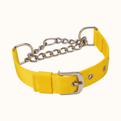 Adjustable Half-Check Dog Collar with Chain