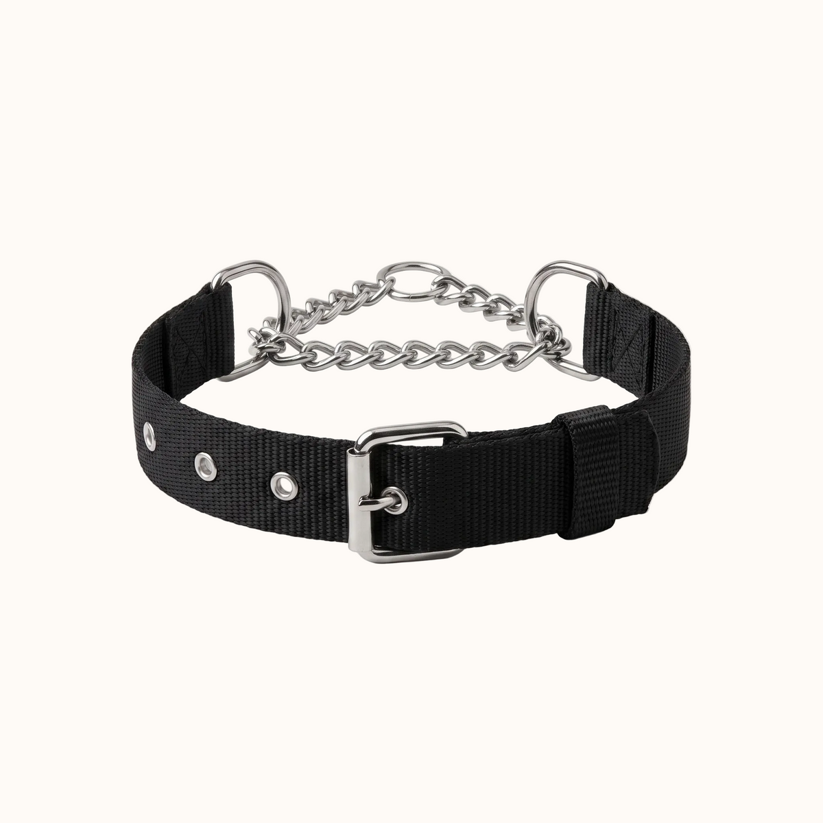 Adjustable Half-Check Dog Collar with Chain